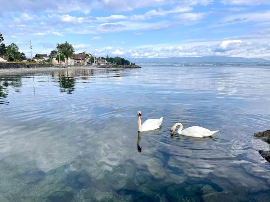 Апартаменты L'Escale Du Leman Амфион-ле-Бен Экстерьер фото